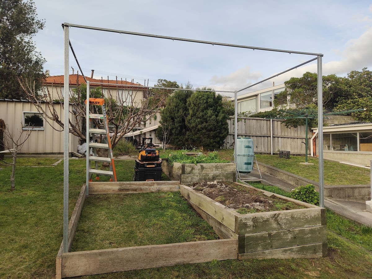 A tall metal frame standing over raised timber garden beds in a back yard, with a ladder alongside, before the netting goes on