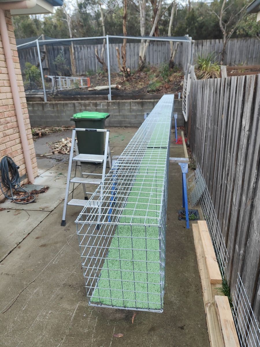 A long galvanised mesh tunnel with a green turf floor laid out on a concrete path beside a paling fence, with a step ladder nearby