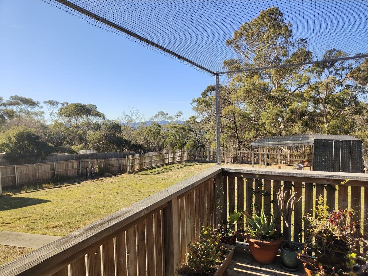 A timber deck with potted plants enclosed by black netting on tall posts, looking out over a grassy yard and gum trees