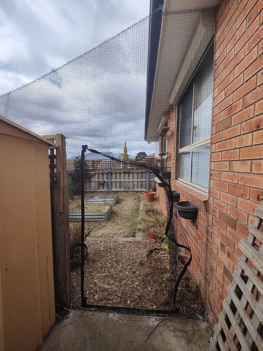 A black-framed netting gate across a side passage beside a brick house, opening to a garden with raised beds
