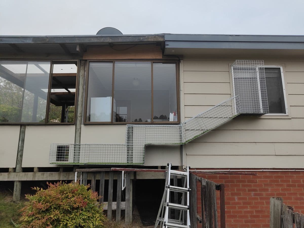 A mesh window box on a cream weatherboard house with a mesh tunnel stepping down the wall to a lower walkway, with a ladder below