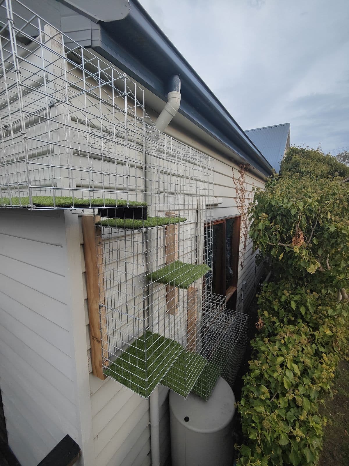 A galvanised mesh tunnel with artificial turf landings climbing the side of a white weatherboard house beside a hedge