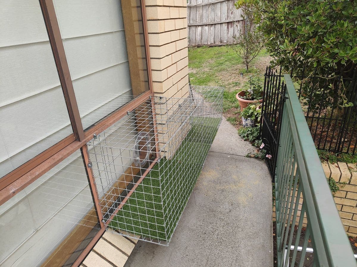 A galvanised mesh tunnel with an artificial turf floor running from a window along a cream brick wall beside a concrete path