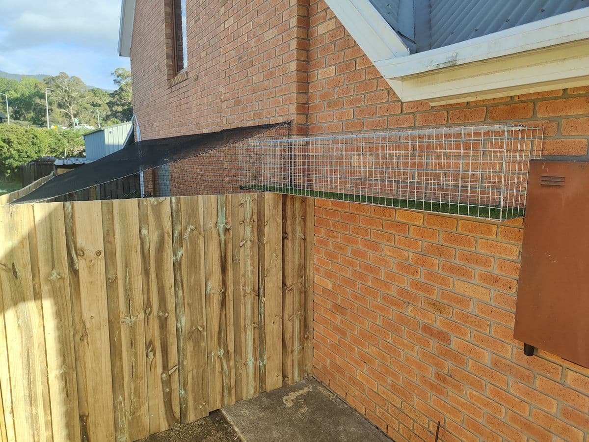 A galvanised mesh tunnel with a turf floor running along a red brick wall at the top of a timber paling fence
