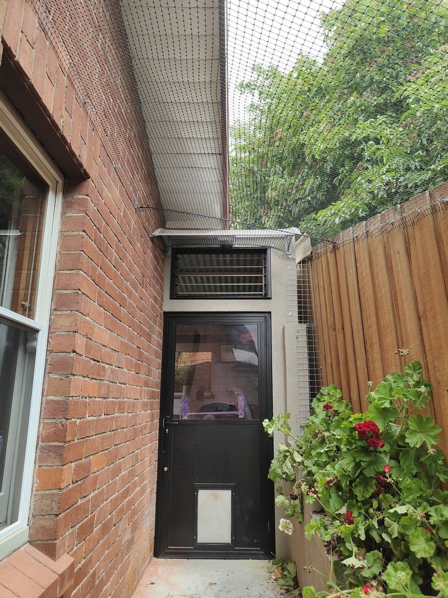A black door with a cat flap at the end of a narrow netted run between a red brick wall and a timber fence