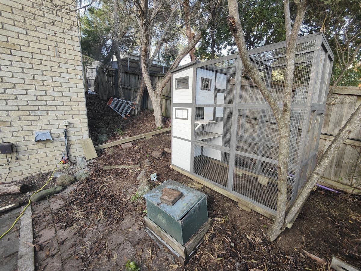 A grey-framed mesh catio standing in a garden bed beside a brick house, with a white multi-level cat house inside