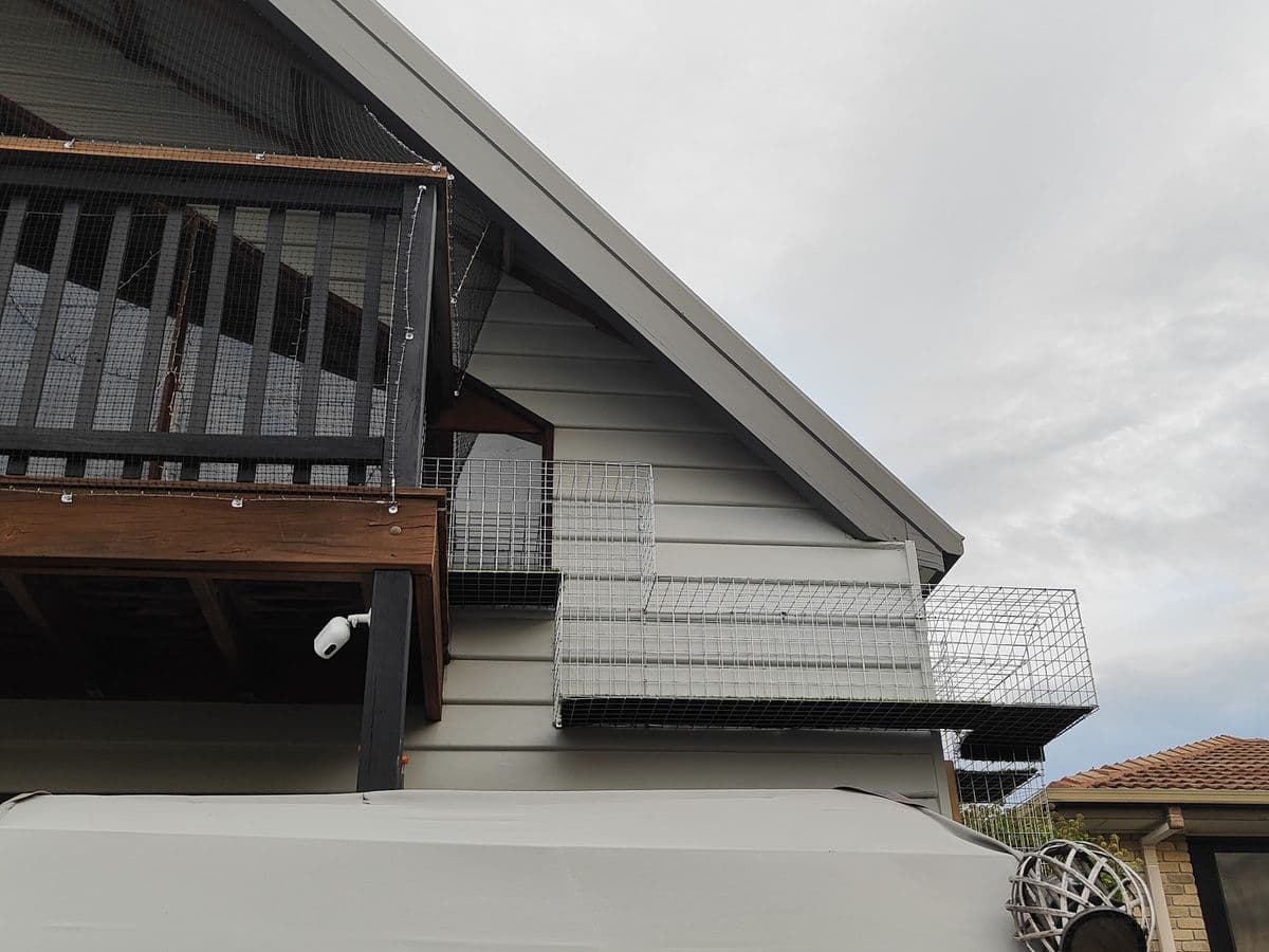 A galvanised mesh window box on a grey weatherboard house, joined to a mesh tunnel running along the wall below a timber balcony