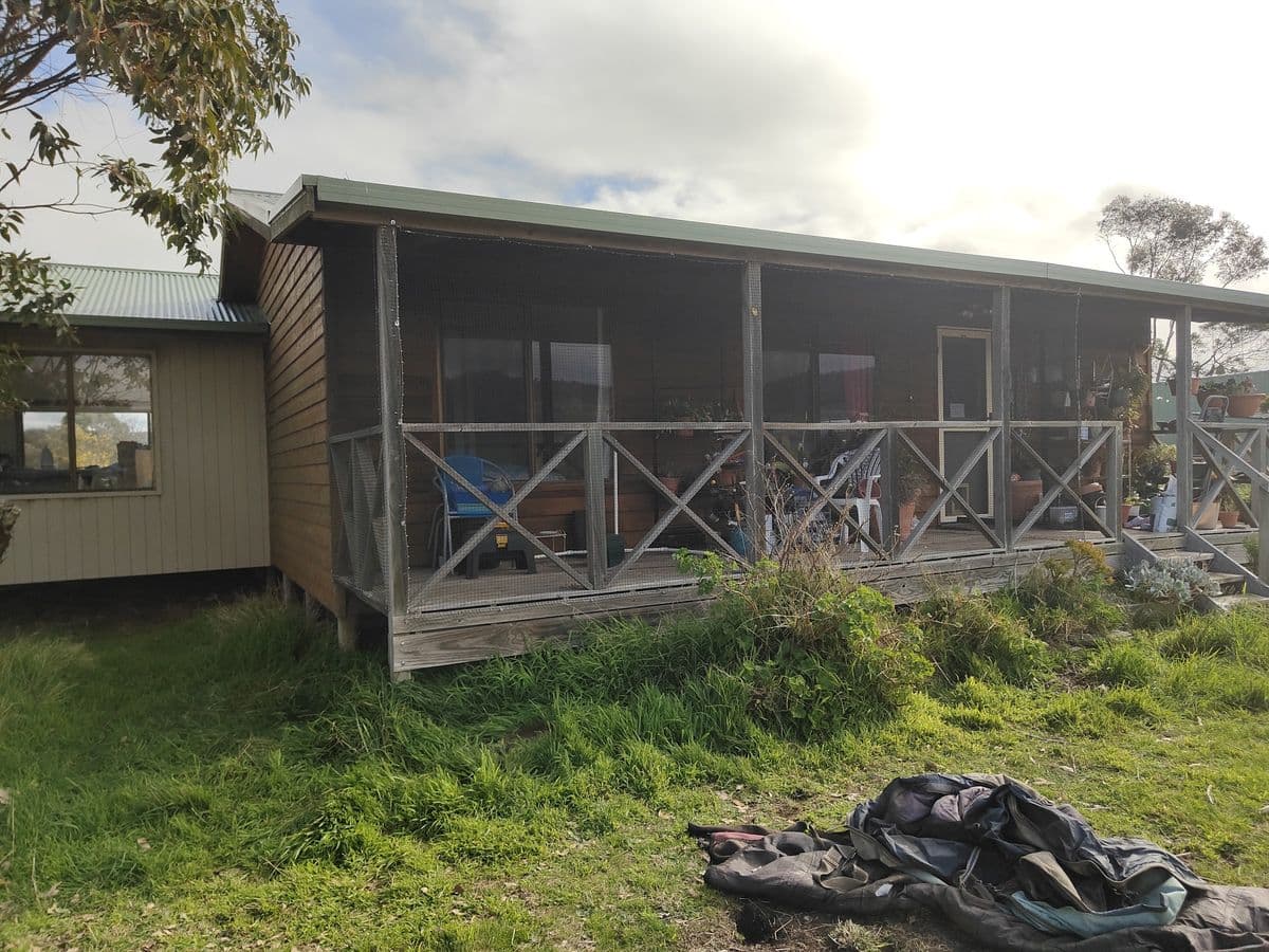 A timber house with its long verandah enclosed in mesh behind cross-braced railings, seen from the garden