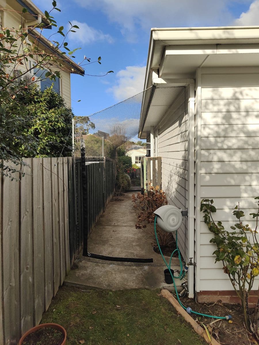 Black netting over a narrow side passage between a white weatherboard house and a timber fence, with a hose reel on the wall