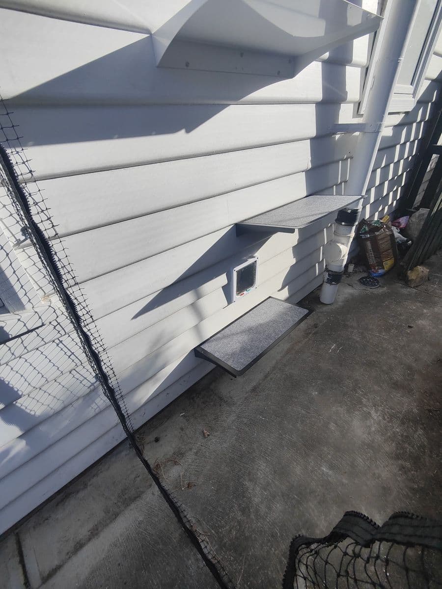 A white cat flap in a weatherboard wall with a step below and shelves above, inside a netted side passage