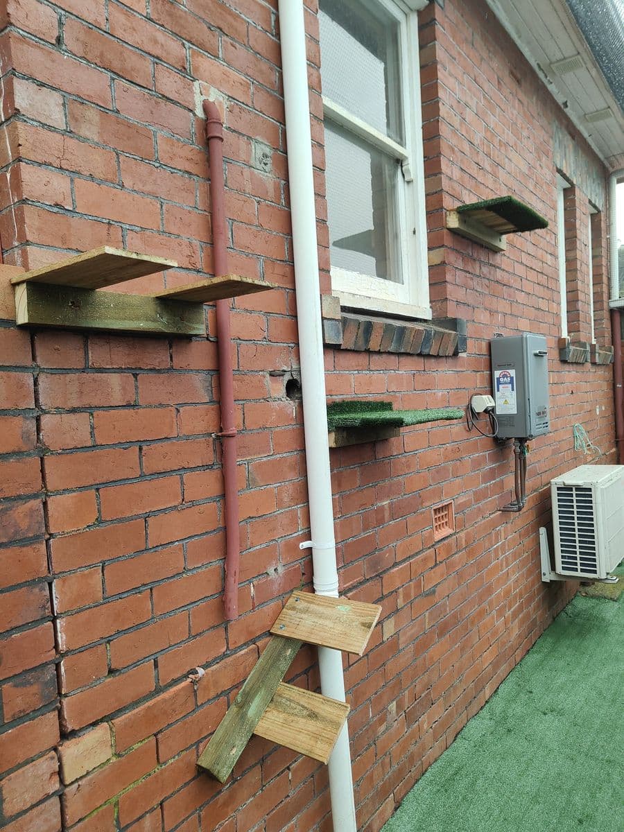 Timber cat steps and a turf-topped shelf fixed to a red brick wall above an artificial turf run