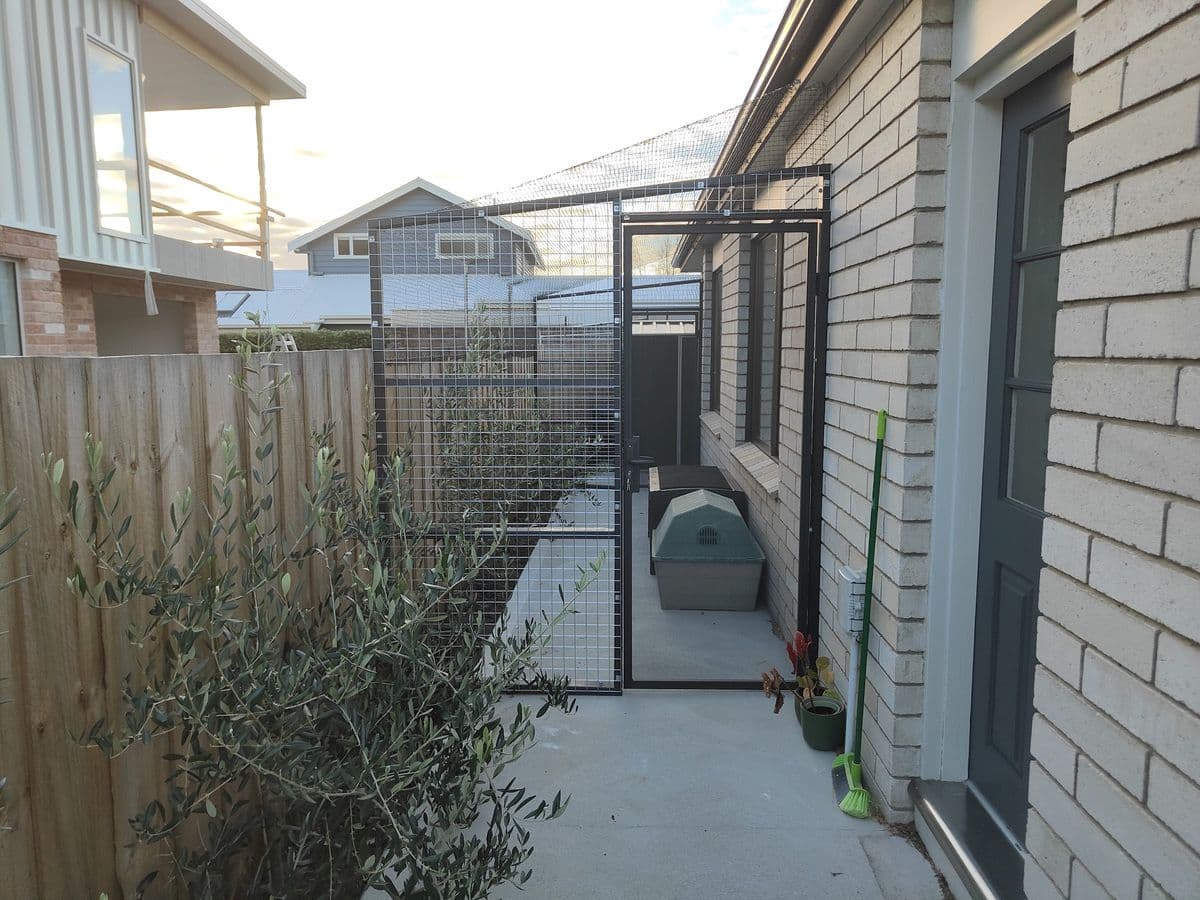 A narrow mesh-enclosed side area beside a pale brick house, with a mesh gate, a cat bed and an olive tree