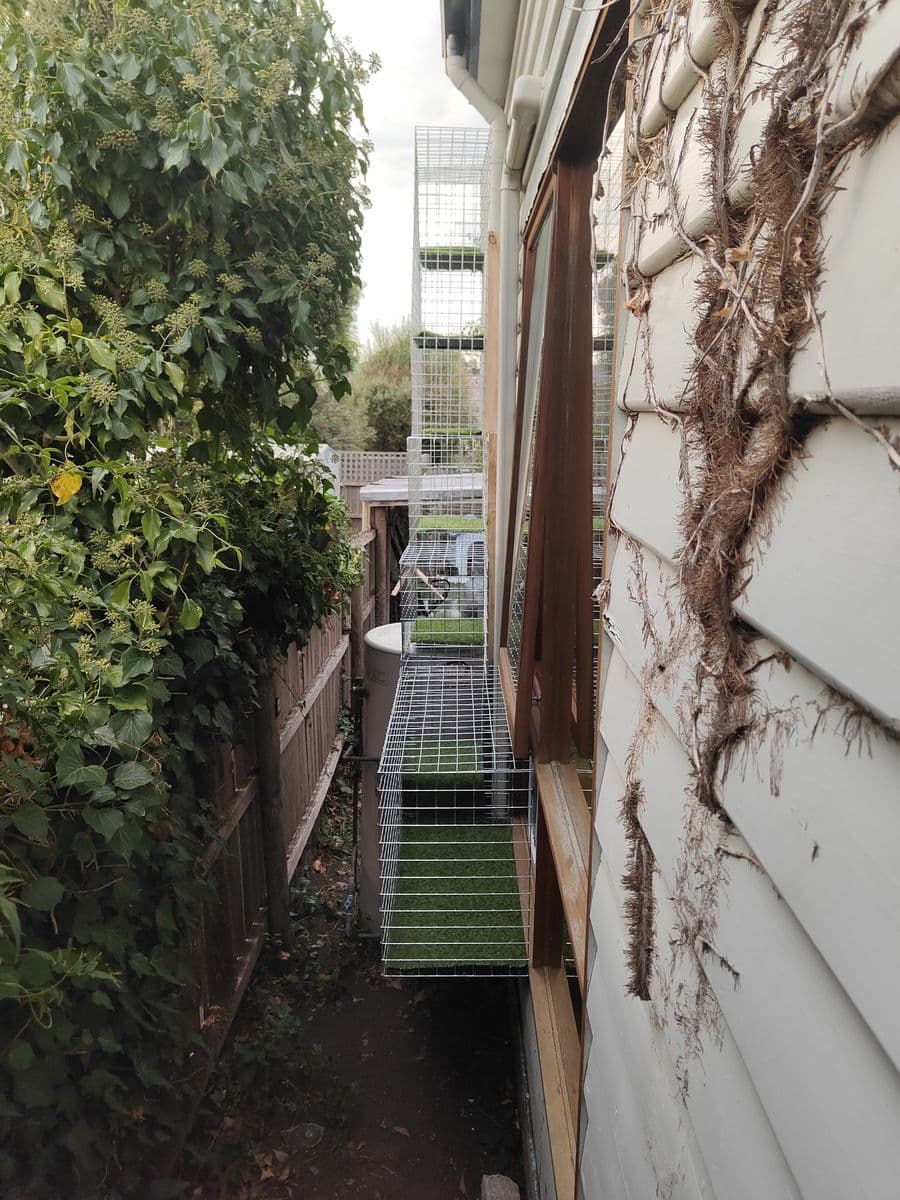 A galvanised mesh tunnel with turf landings running up the side of a weatherboard house in a narrow, leafy side passage