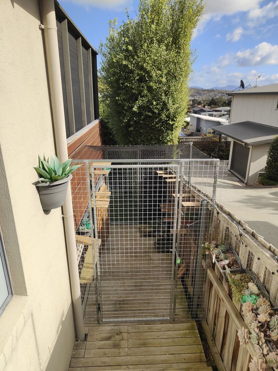 A galvanised mesh run with a gate down the side of a rendered house, with timber steps and shelves inside