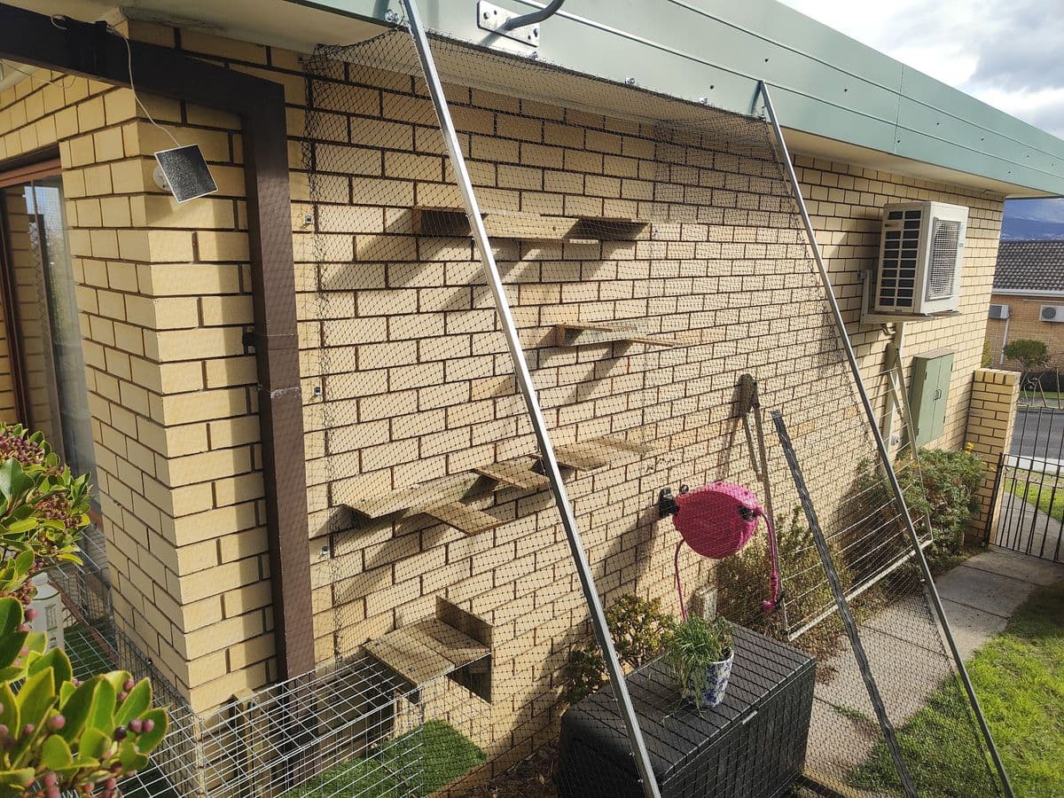 Staggered timber cat steps fixed to a cream brick wall inside a mesh enclosure beside a garden