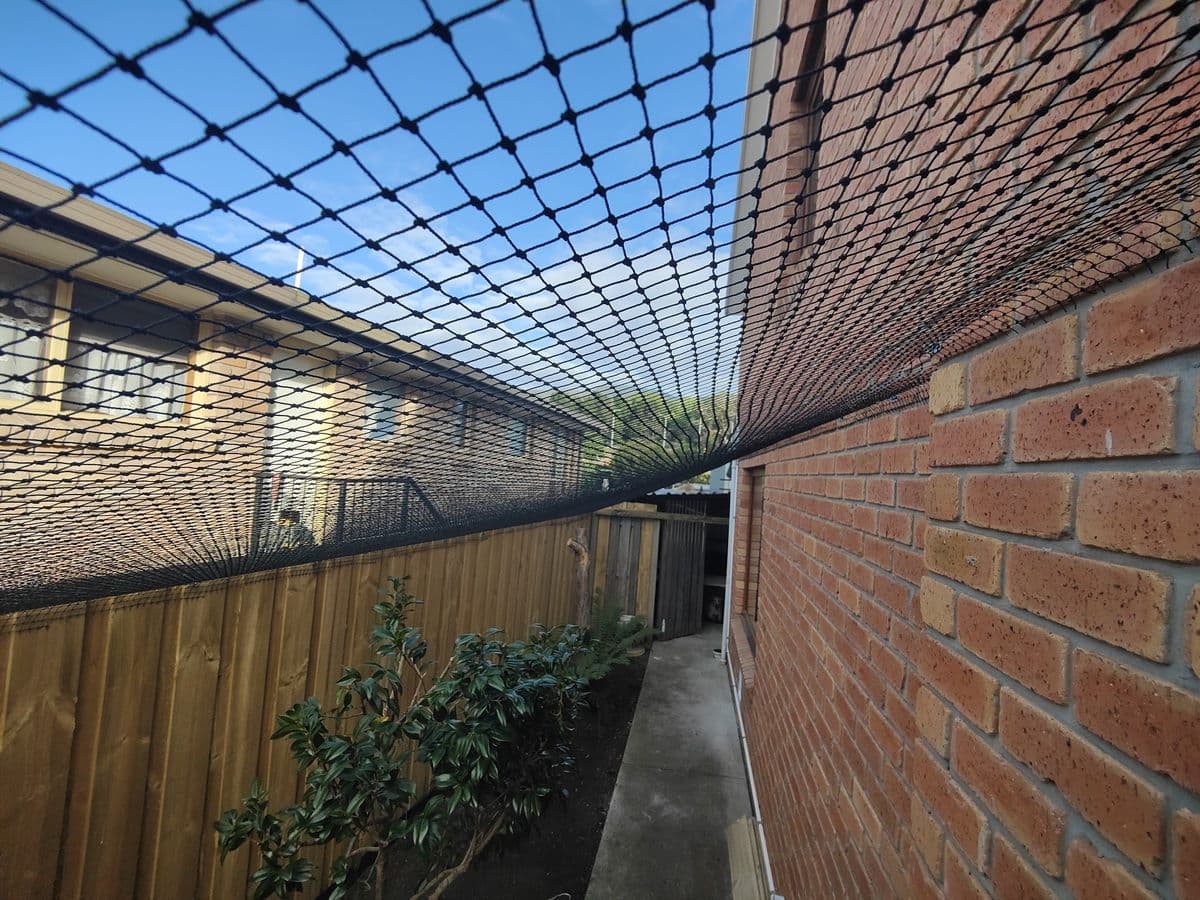 Black netting stretched over a narrow garden strip between a red brick wall and a timber paling fence