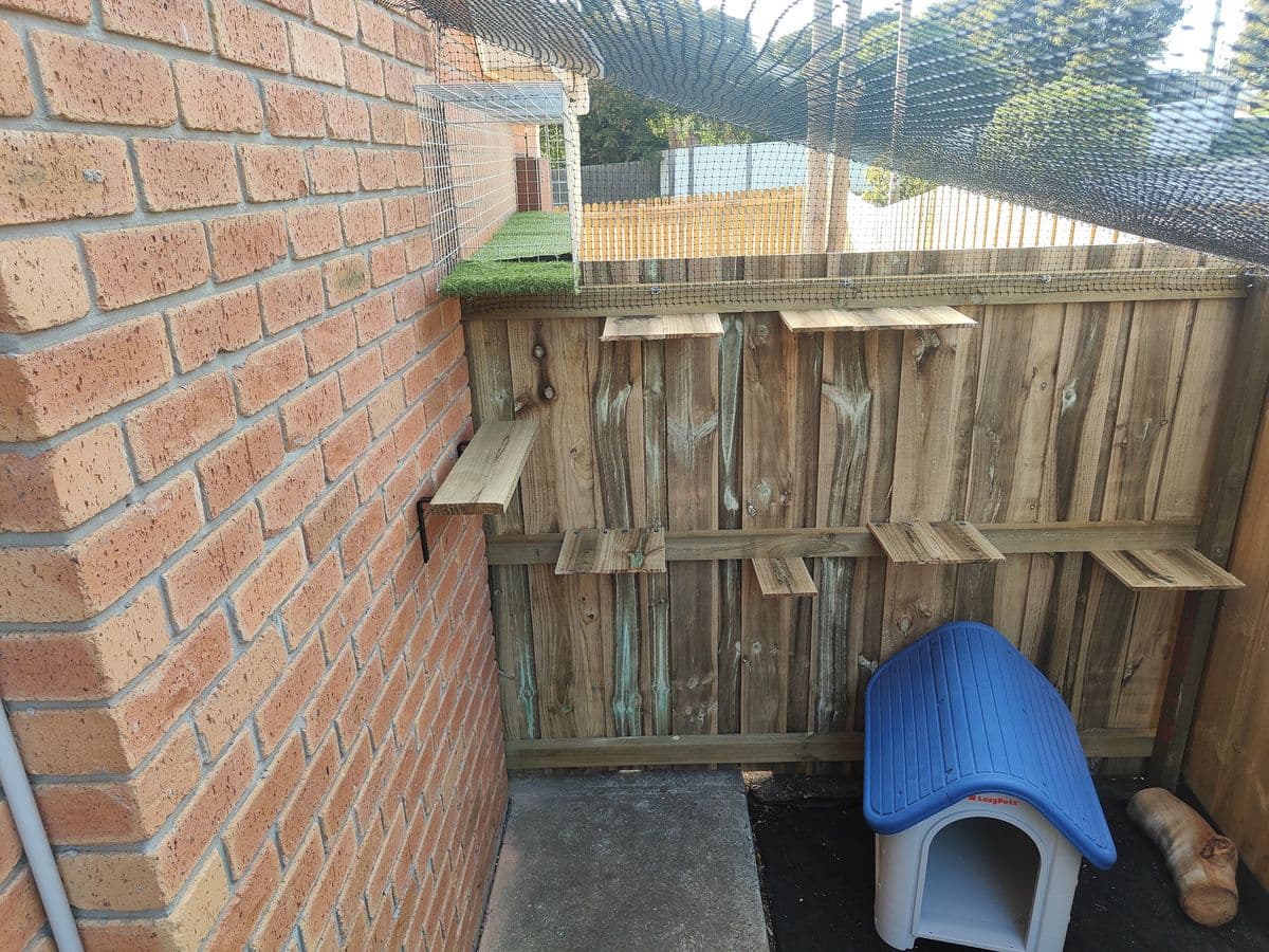Rows of timber shelves along a paling fence with a turfed walkway along the top, inside a netted area beside a brick wall
