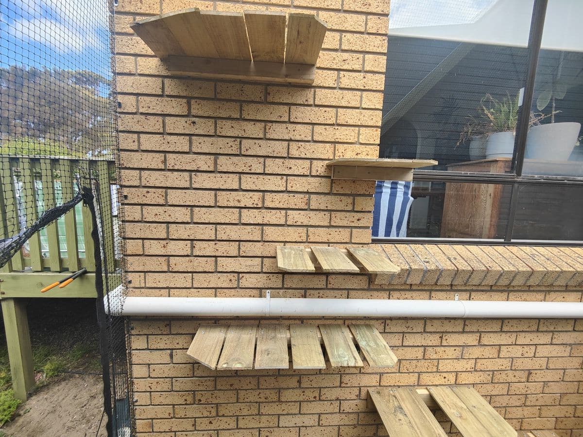 Wide timber shelves fixed at different heights to a cream brick wall inside a netted enclosure
