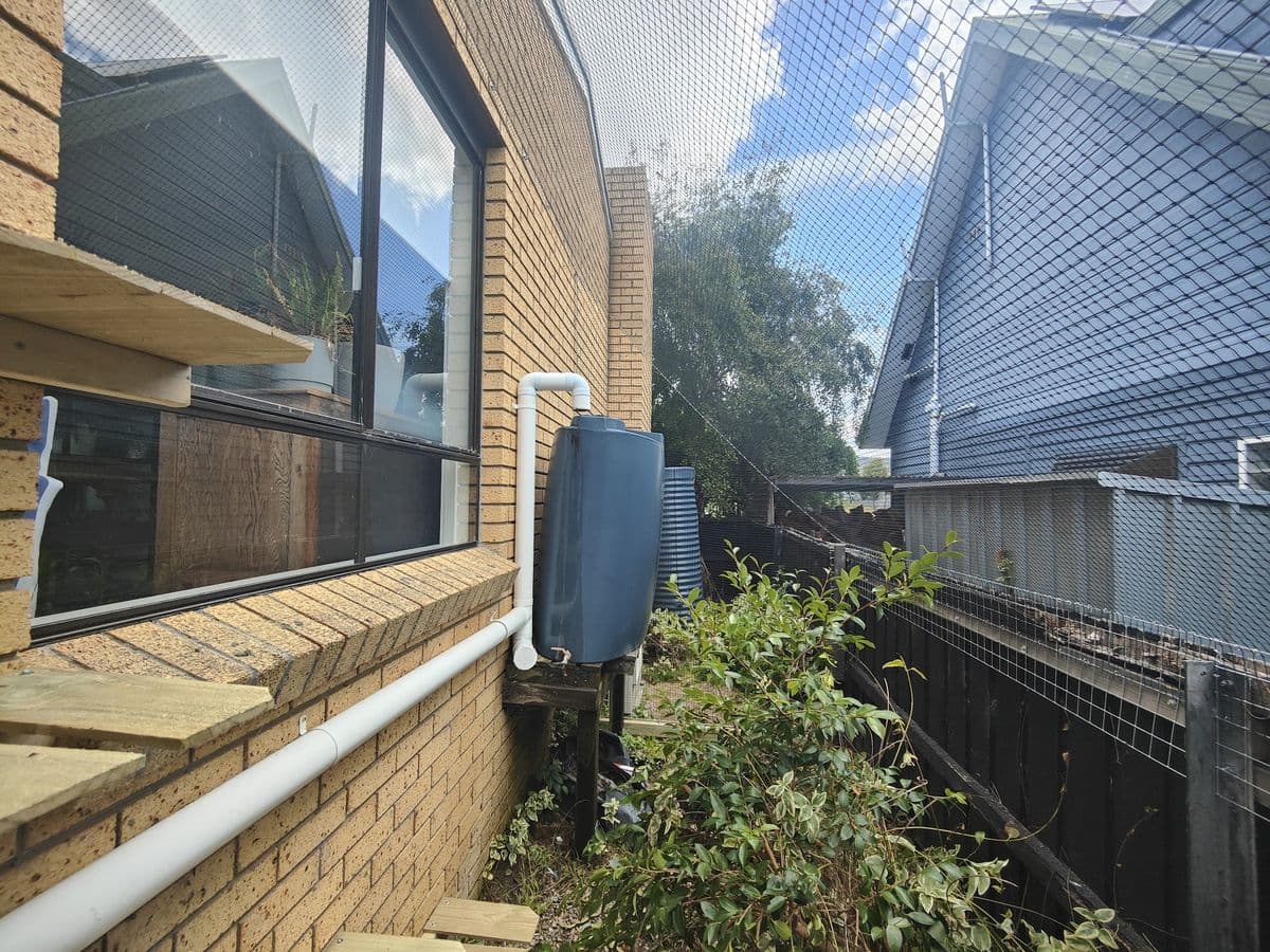 A netted side run beside a cream brick house, with timber shelves below a window and garden plants along the fence