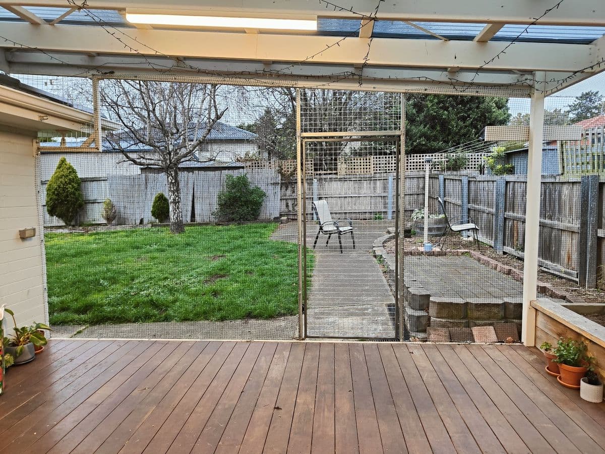 A timber verandah under a clear roof enclosed with netting, looking out to the lawn and garden