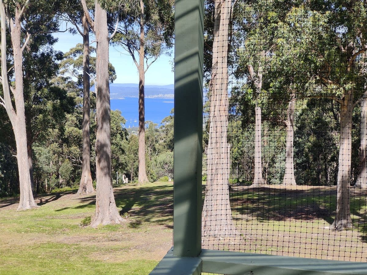 A verandah enclosed with netting among tall gum trees, with a glimpse of the water