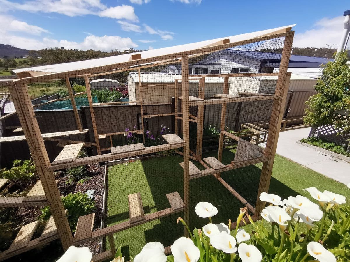 A timber-framed garden catio with a sloping roof, shelves at different heights and turf, behind white arum lilies