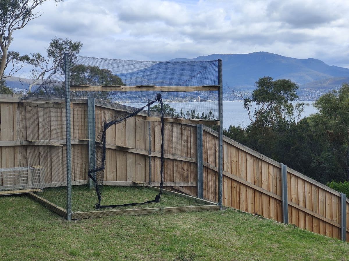 A netted enclosure on the lawn against a paling fence, looking out to the water and a mountain