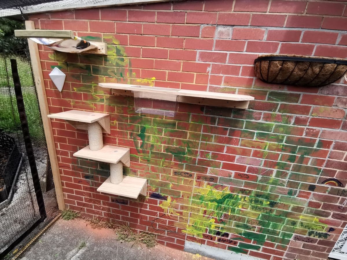 Timber cat shelves, steps and a hanging basket fixed to a painted red brick wall inside a mesh enclosure