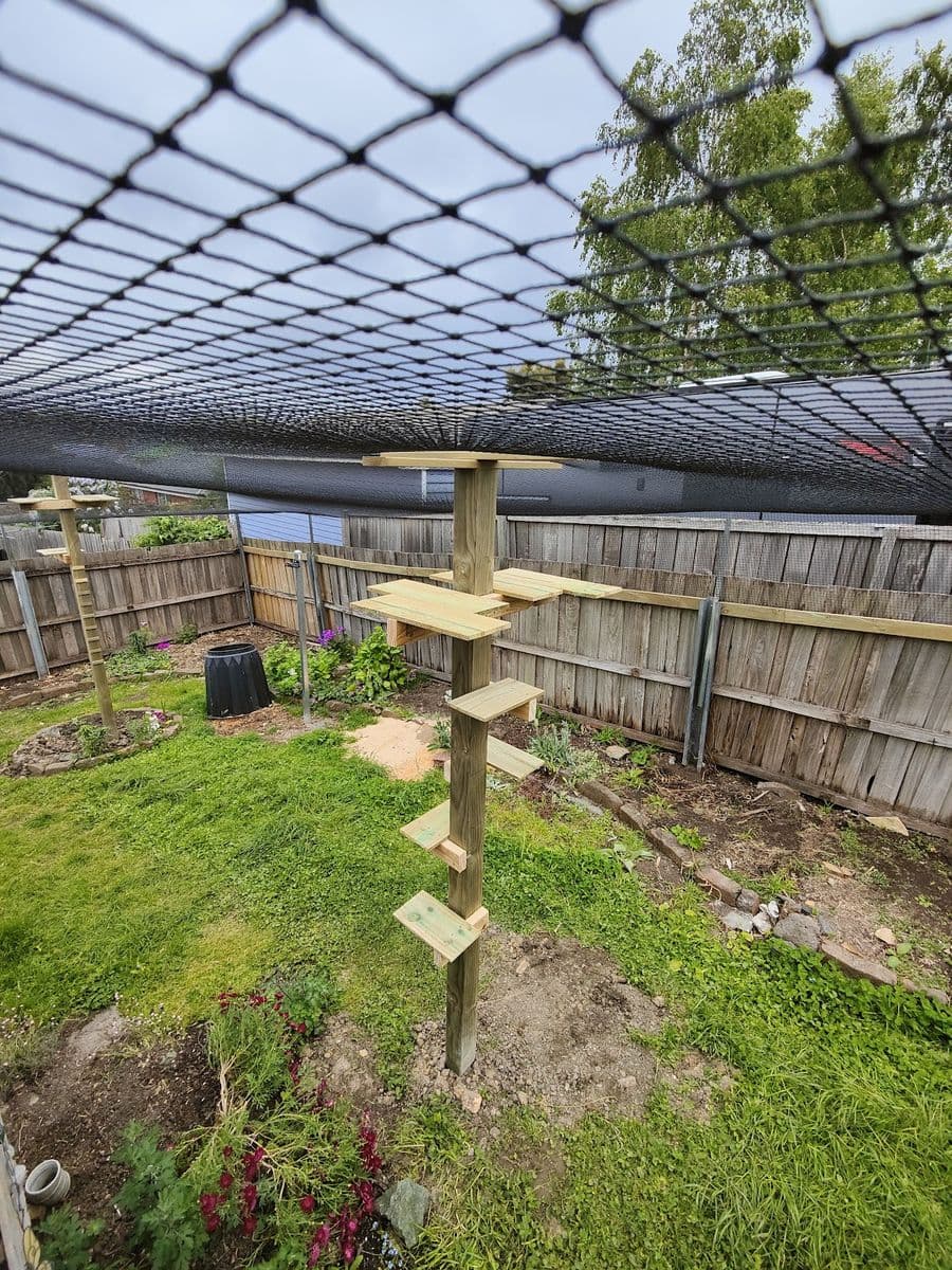 A backyard under black netting, with timber climbing poles and steps standing in the lawn