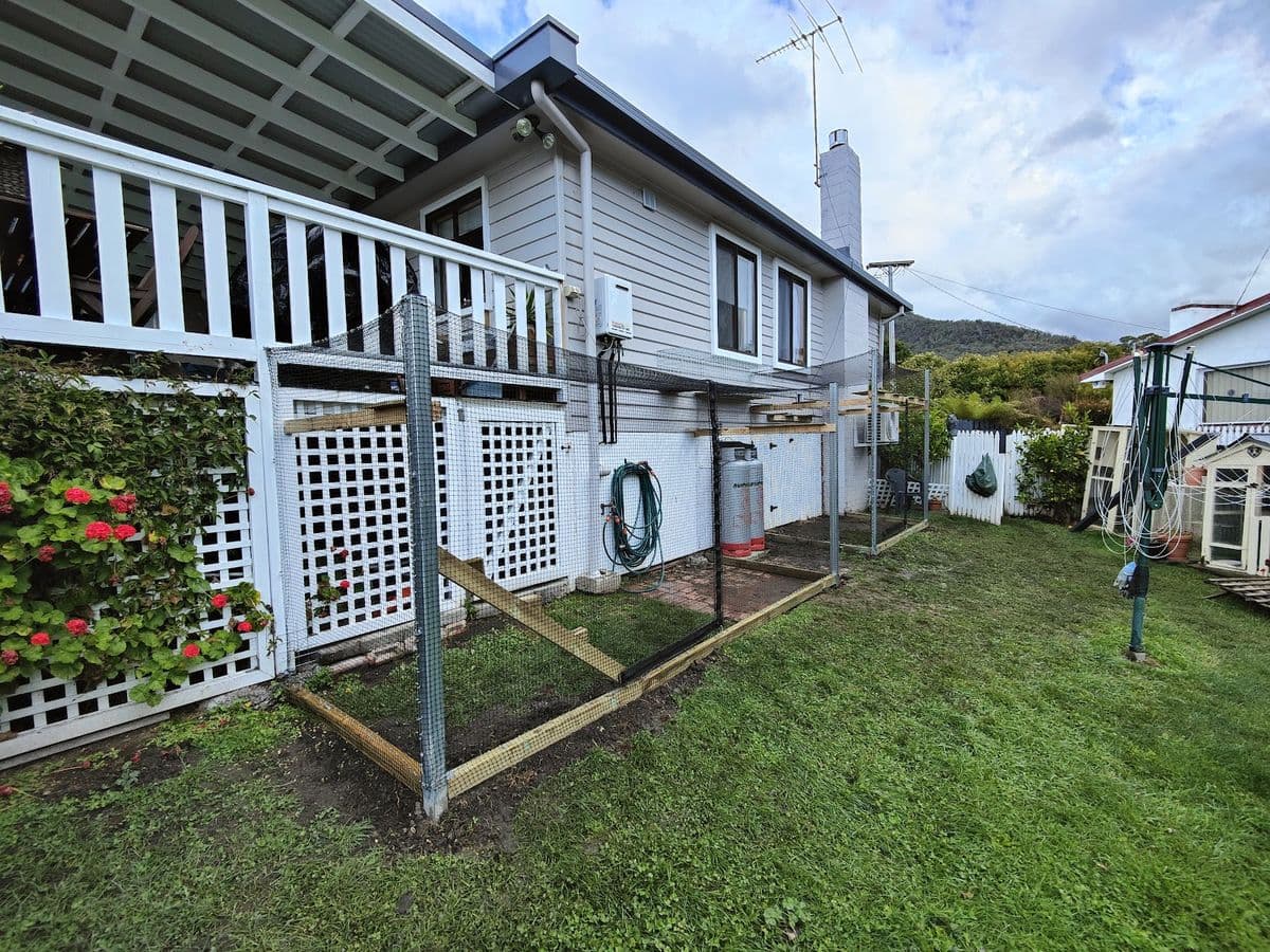 A lawn and garden bed under netting beside a white weatherboard house with a lattice-skirted deck