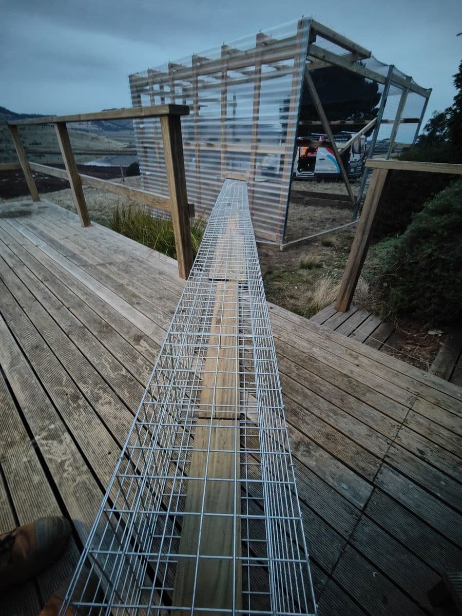 A long mesh tunnel running across a timber deck to a mesh catio