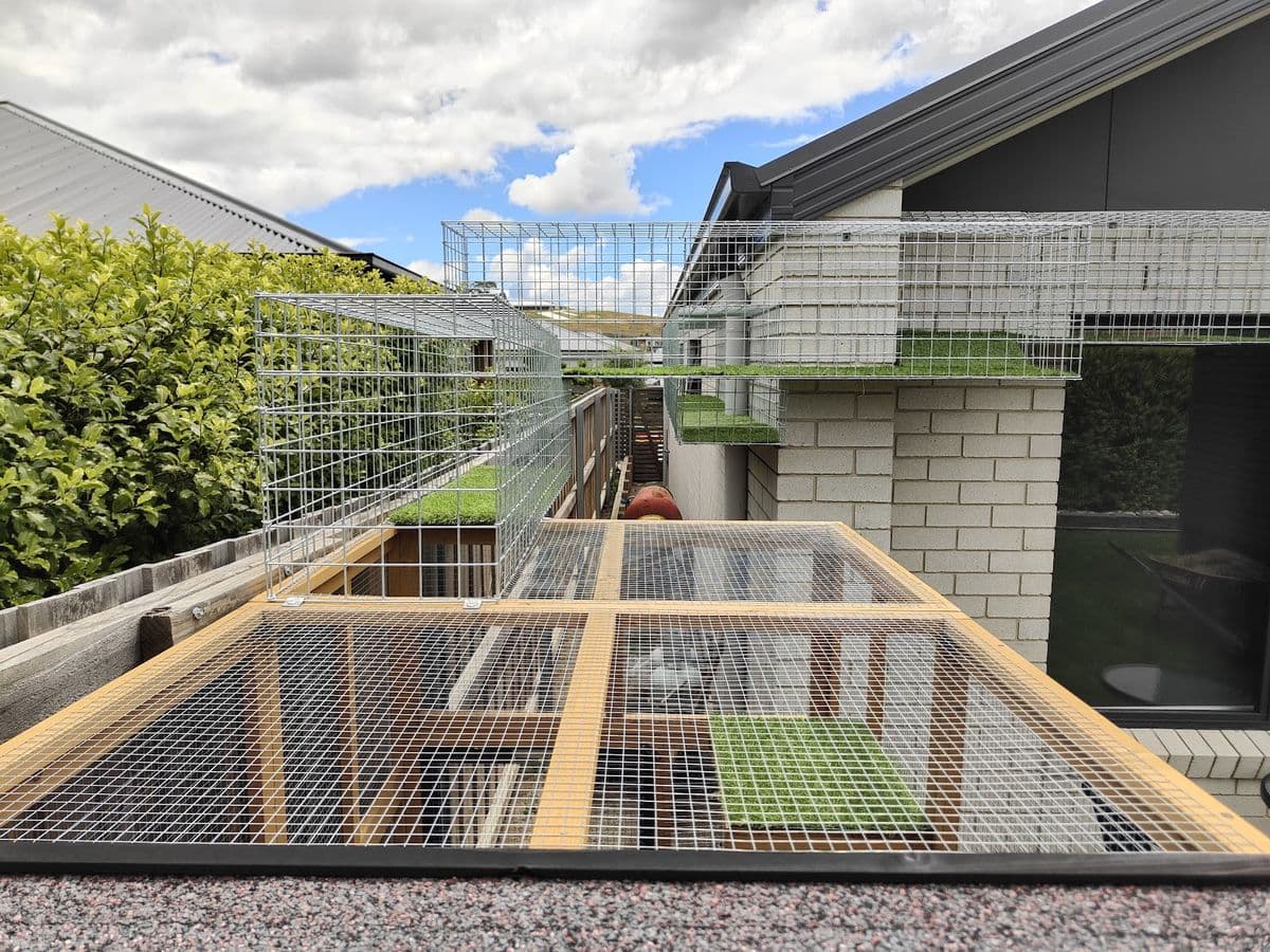 Mesh tunnels with turf running over the roof of a timber-framed catio to the house