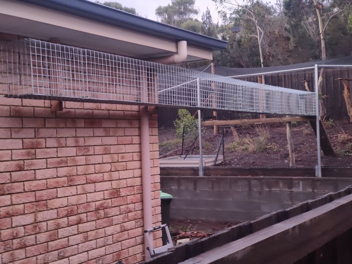 A galvanised mesh tunnel running from under the eaves of a brick house across to a netted enclosure in the yard