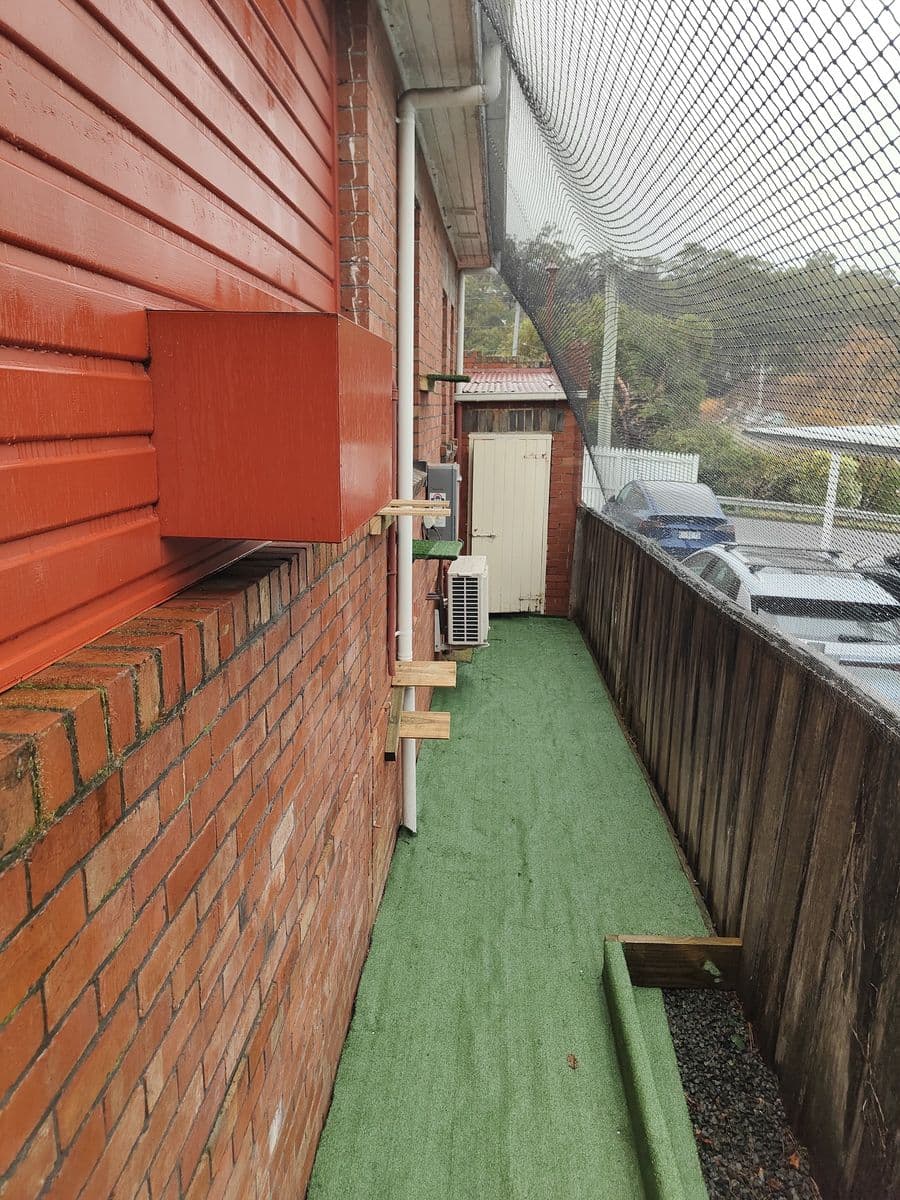 A netted run floored with artificial turf beside a red brick and weatherboard wall, with timber cat steps on the wall