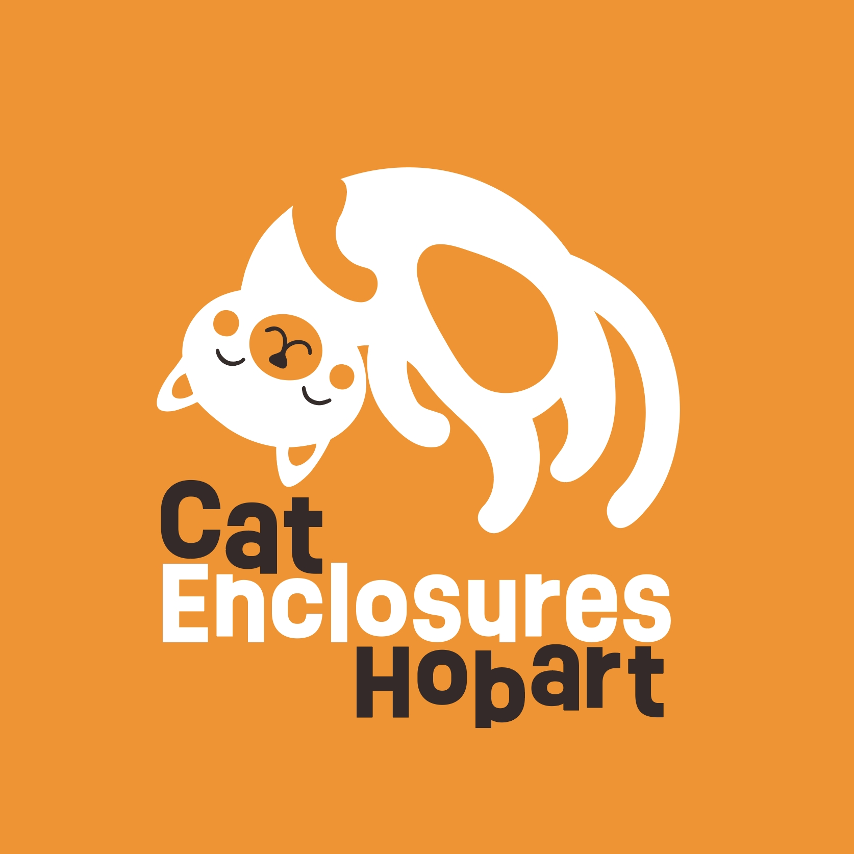 Custom Built Cat Enclosures [Catios] in Hobart and Southern Tasmania. Our Catios are built for your fur family to have a great time.